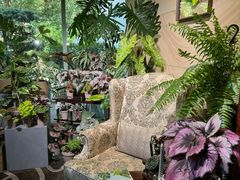 -棕榈岛海鲜自助餐厅(虹桥迎宾馆店)