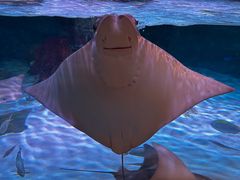 -沈阳海洋探索中心