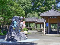 -千岛湖东南湖区