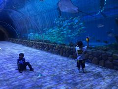 -华夏文旅海洋公园