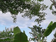 -茅草房·河畔园林火锅