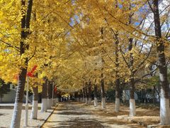 -辽东学院(南校区)