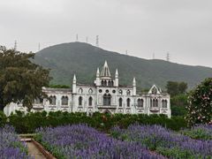 -玫瑰海岸文化旅游度假区