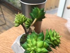 -萃茶师(琅西店)