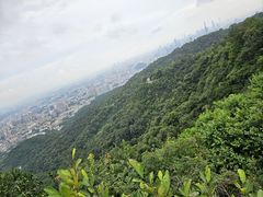 -广州市白云山风景名胜区