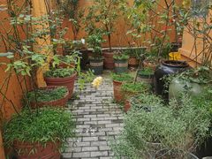 -吴家馄饨
