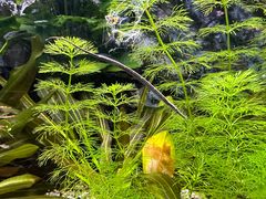 -上海海洋水族馆