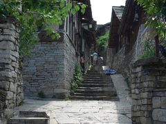 -杨家堂村