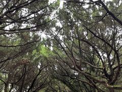 -南岳衡山风景名胜区-南岳大庙