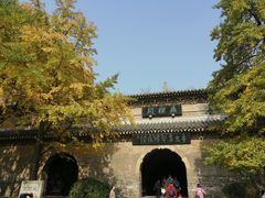 -灵谷景区