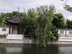 -南沙蒲洲花园