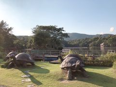 -清迈夜间动物园