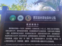 -西双版纳原始森林公园
