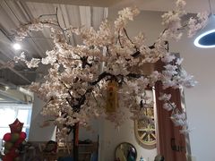 店内布置-Ours树朵家亲子餐厅(远策中心店)