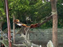 -上海野生动物园