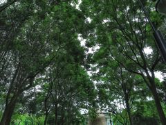 -苏州河梦清园环保主题公园