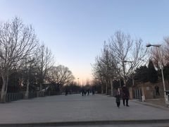 -望湖公园