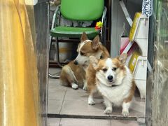 -小梁哥云吞面(黄贝岭店)
