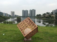 -金山植物公园