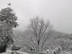 -雅达·阳羡溪山小镇中心