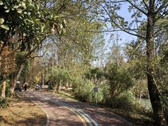 -桤木河湿地公园