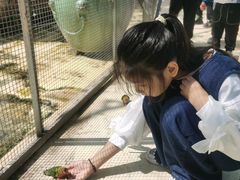 -芜湖新华联大白鲸海洋公园