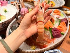 -月龍吟(朝龙汇店)