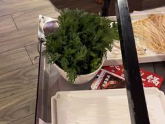 -老版火锅(半坡店)