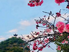 -抚仙湖禄充风景区