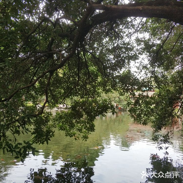 成都周边游攻略｜都江堰景区拍照指南