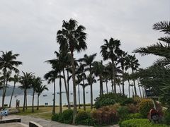 -东澳岛