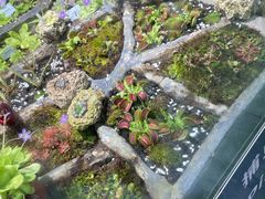 -国家植物园南园