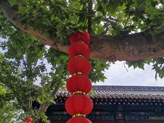 -大槐树寻根祭祖园