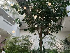-大树餐厅(红旗街万达店)
