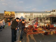 -中环花鸟鱼虫市场