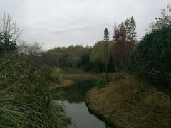 -昆山城市生态森林公园