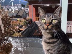 -唐咖精品咖啡(大理古城手冲店)