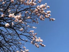 -喜悦小串丹东小黄牛海鲜烧烤大排档(民主广场店)