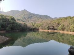 -杭州半山国家森林公园