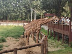 -北京野生动物园