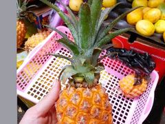 -西沃古尔·拉姆古兰爵士国际机场