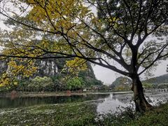 -鼎湖山风景区