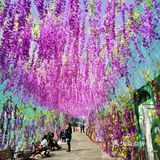 云瀑沟风景区