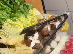 -春润大地海南椰子鸡(沙井京基百纳广场店)