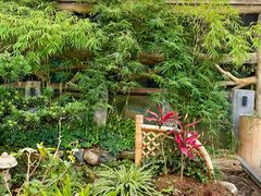 -山壹竹庭院餐厅