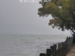 -杭州西湖柳莺里酒店