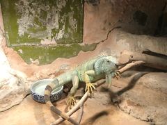 -上海大自然野生昆虫馆(东方明珠·爬宠昆虫探索中心)