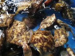 -花乐餐厅(涠洲岛店)