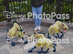 -奥兰多迪士尼动物王国乐园