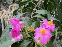 -国家植物园南园